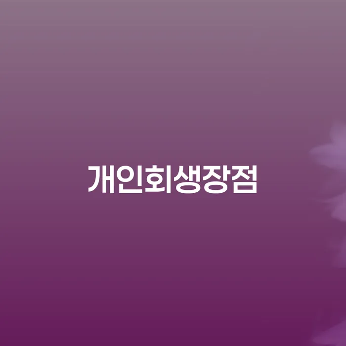 개인회생신청자격조회 연체 채무 신속해결방법 신청절차에