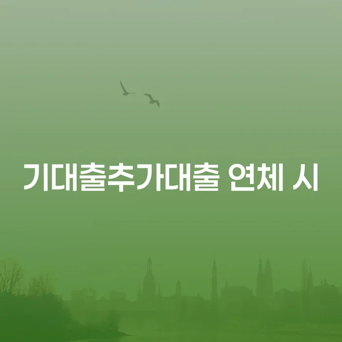 세종시 과대출자추가대출 연체 시 대출 연체 개인회생 가능한지
