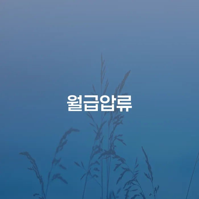 철원군 연체전개인회생 개인회생,개인파산으로 유선상담