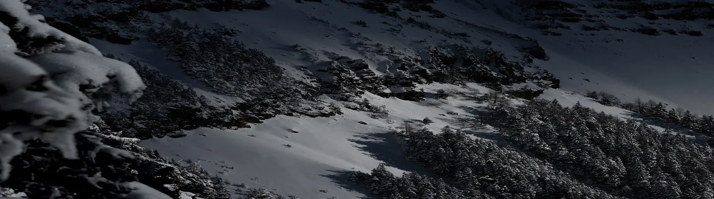 법무법인 서앤율