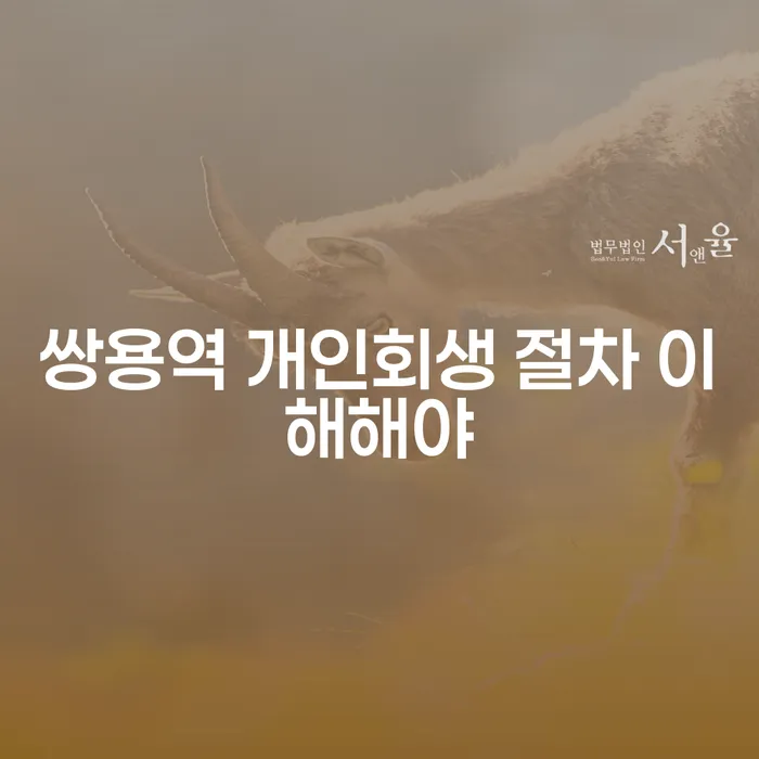 쌍용역 개인회생 절차 이해해야