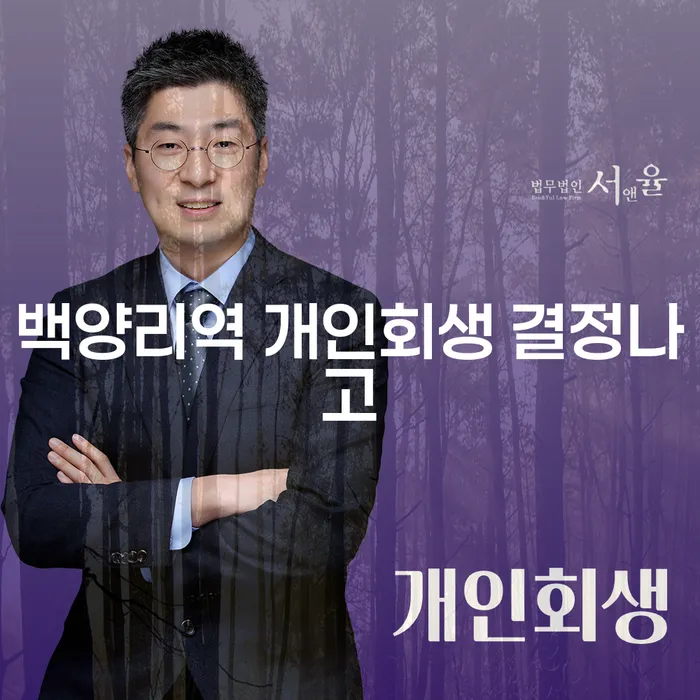 백양리역 개인회생 결정나고