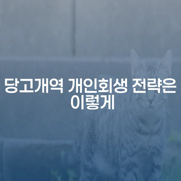 당고개역 개인회생 전략은 이렇게