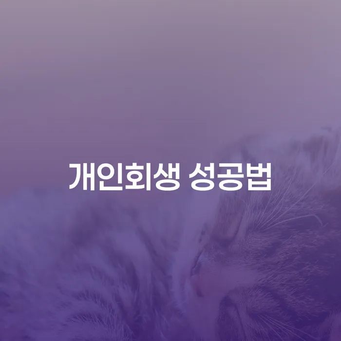 개인회생 성공법, 당신도 가능할까요?