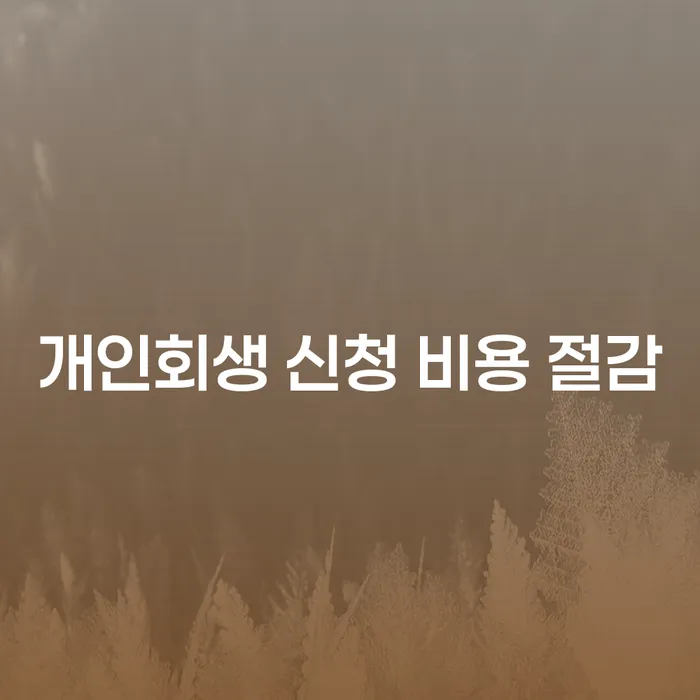 개인회생 신청 비용 절감, 어떻게 시작해야 할까요?