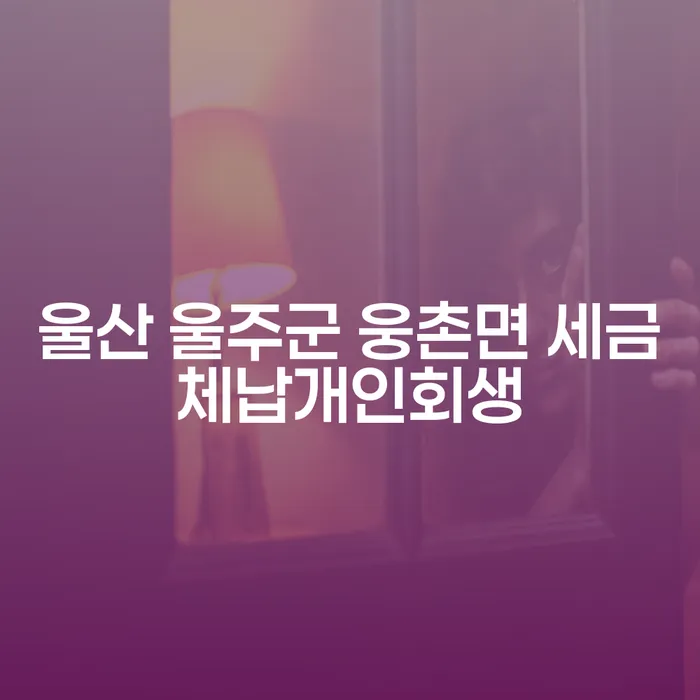 울산 울주군 웅촌면 세금체납 개인회생, 대구에서 신청할 수 있을까?