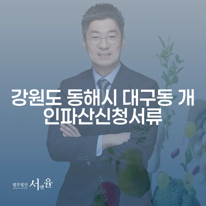 왜 강원도 동해시 대구동에서 개인파산신청서류가 필요할까요?