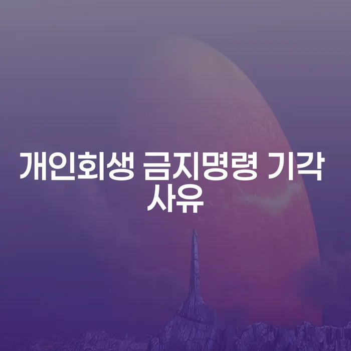 개인회생 금지명령 기각 사유는 무엇일까요? 서천군 개인회생을 통해 해결할 수 있을까요?