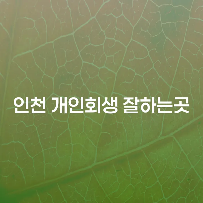 인천에서 개인회생을 잘하는 곳은 어디일까요?