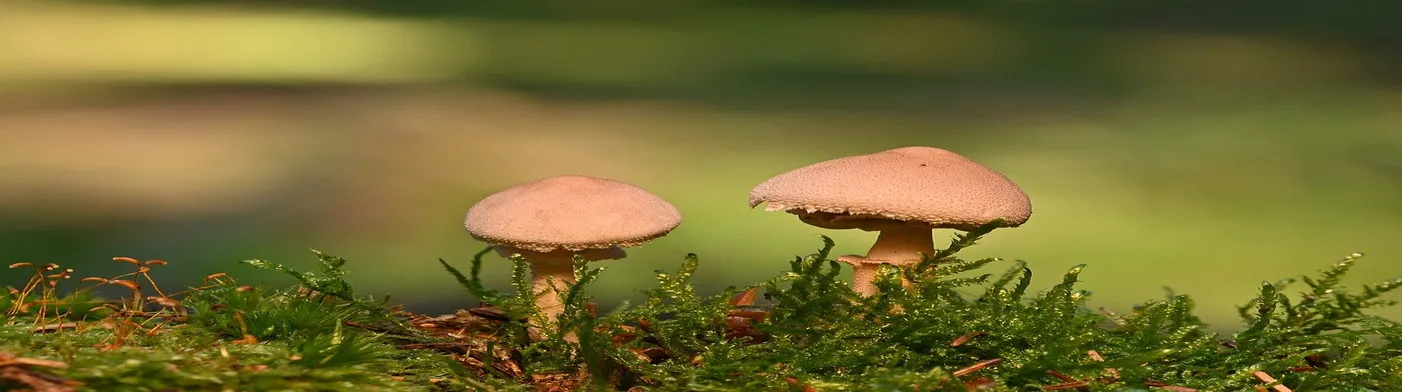 법무법인 서앤율