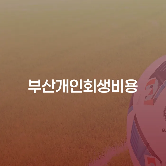 부산에서 개인회생 신청, 비용은 얼마일까요?